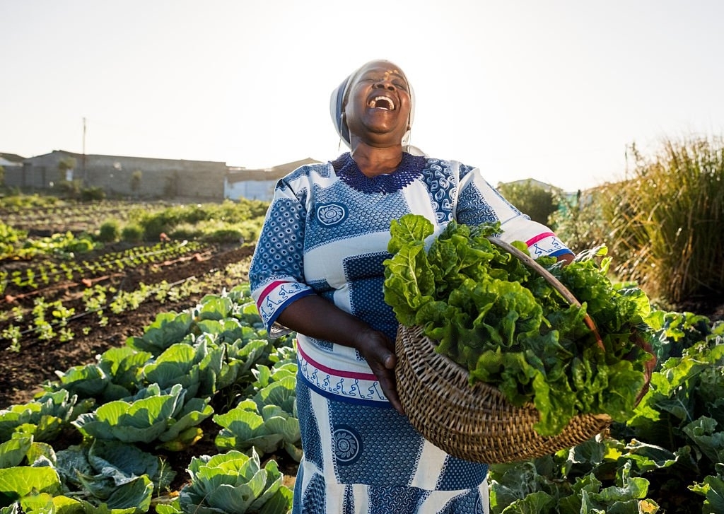 happy_farmer-transformed